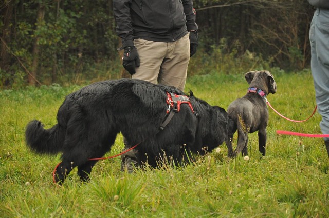 244774617 389104429587428 3630139658730391126 N