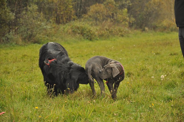 245812698 389106172920587 54234296231447760 N