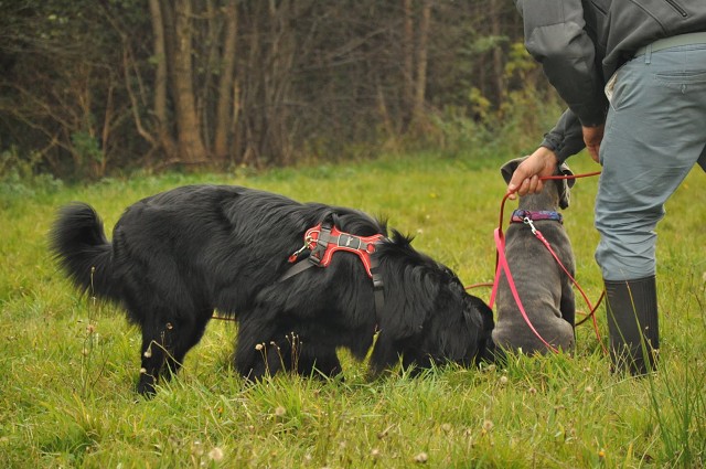 245813702 389103979587473 4538459562149425865 N