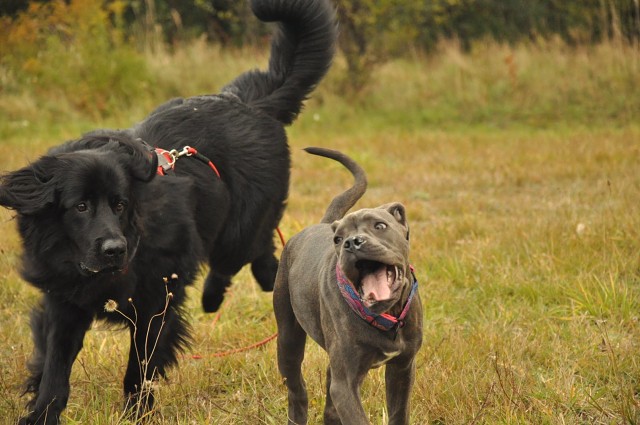 245813730 389102732920931 8137100088362767264 N