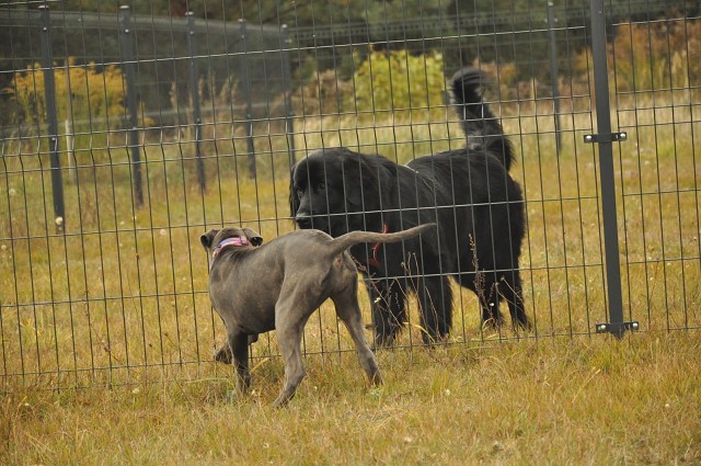 245820934 389105969587274 3998316119266022654 N