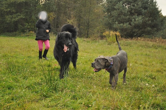 245823322 389106362920568 4610830115972107648 R