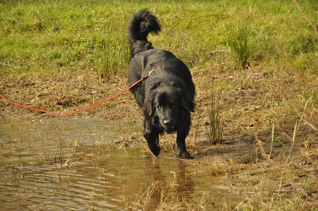 245836432 389105099587361 191352904539048668 N