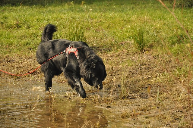 245850482 389105066254031 5571311782027067611 N