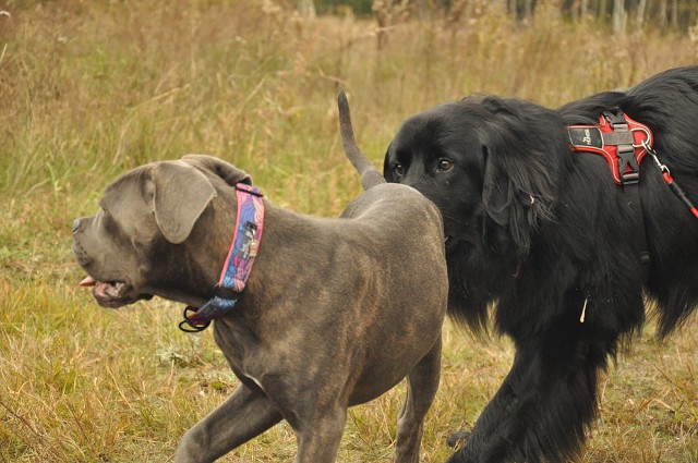 245852817 389103462920858 8236861649013704810 N