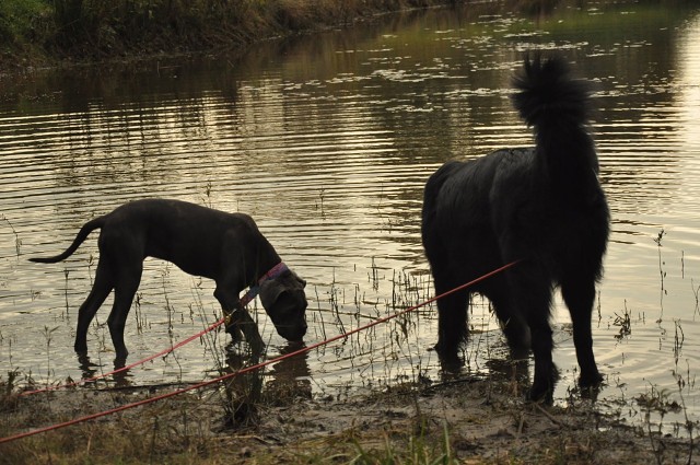 245853617 389103962920808 7648965249618678800 N