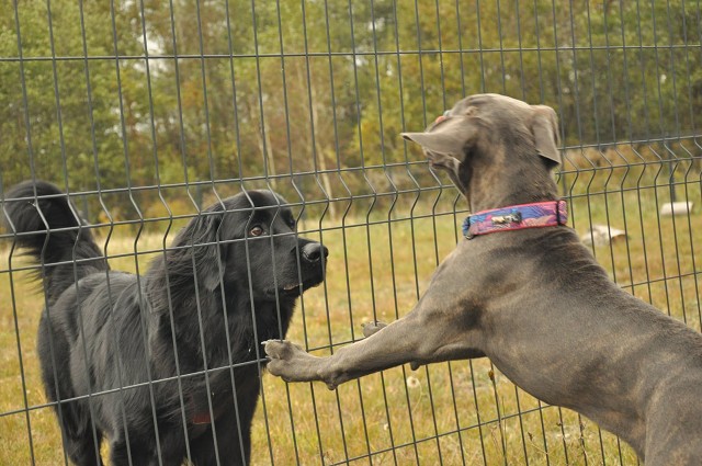 245855815 389103439587527 2868469651727523235 N