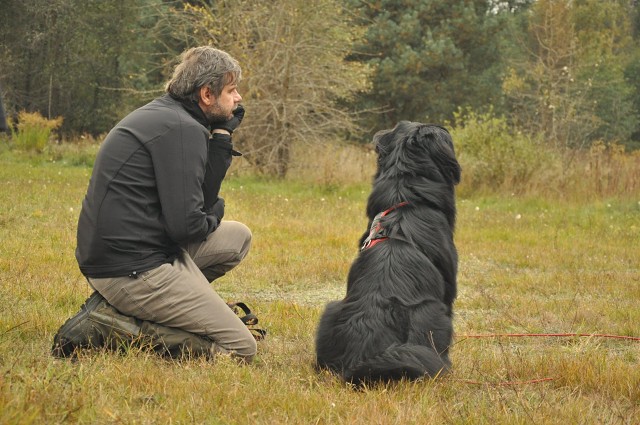 245860037 389106442920560 4754363106328374829 N