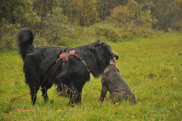 245861014 389105856253952 3856956118509956850 N