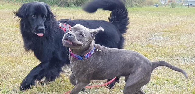 245862874 4372444762809882 4197585509400188478 N