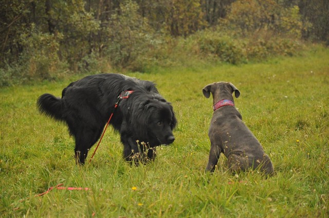 245874069 389105572920647 3881872510139731289 N