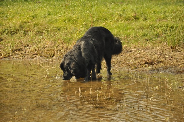 245882799 389105306254007 5738382121844544507 N