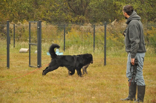 245905437 389106279587243 4499809609338238783 N