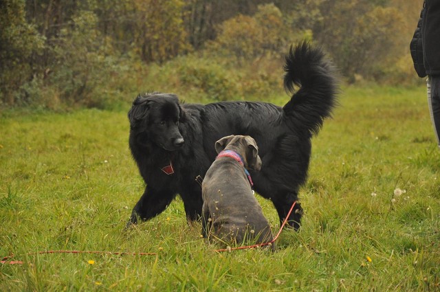 245905998 389104672920737 6419551719533987154 N