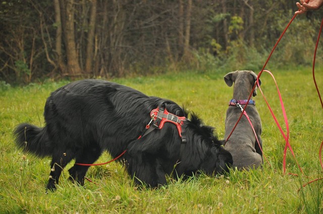 245907880 389104266254111 5802294928999123692 N