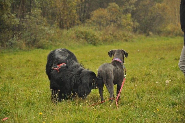 245913929 389105906253947 8479588893514855894 N