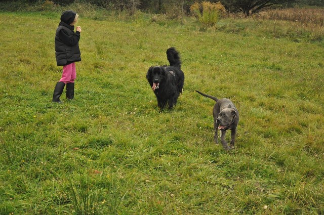 245928728 389105452920659 3178996977997275515 N