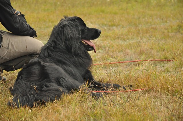 245964838 389103872920817 7068025491928322626 N