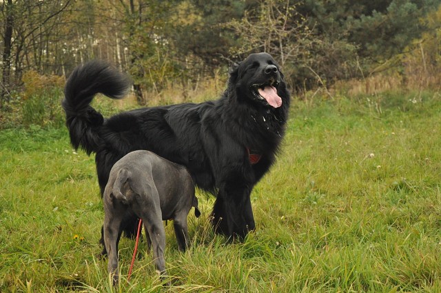 246005798 389106559587215 4711041074516693584 N