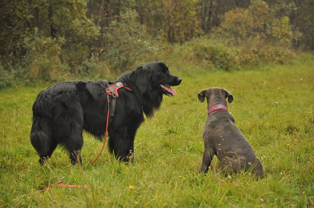 246077808 389105472920657 4491973826632605281 N