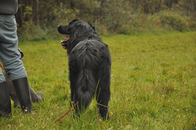 246368054 389103952920809 3806500349010023527 N