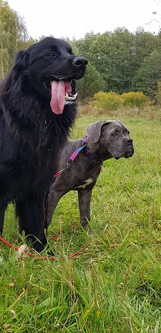 246377675 4372444492809909 5326780949269438803 N