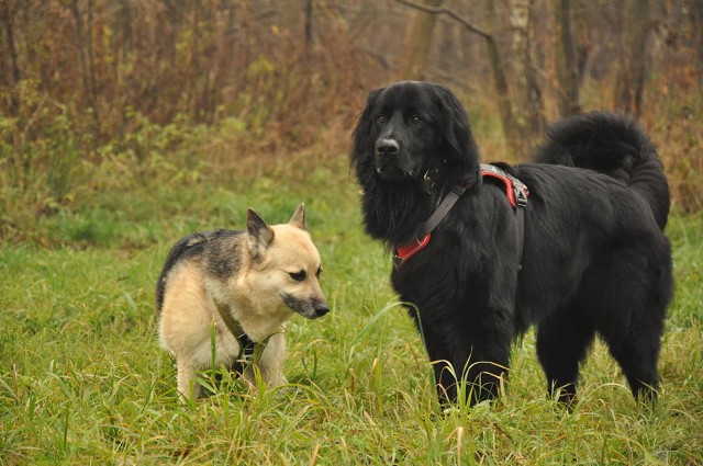 248014047 407544714410066 7136644998892218621 N