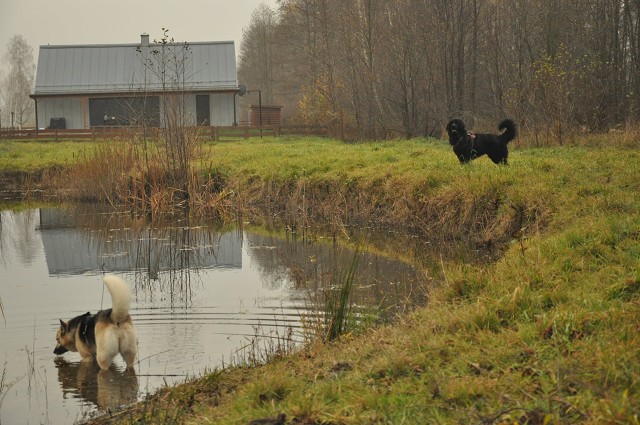 248036879 407545827743288 8535366147365887487 N