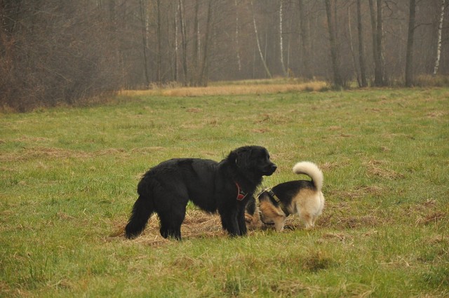 248138167 407547127743158 5640802710214015633 N