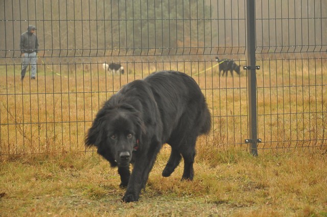 254944936 407543187743552 804840259123606784 N