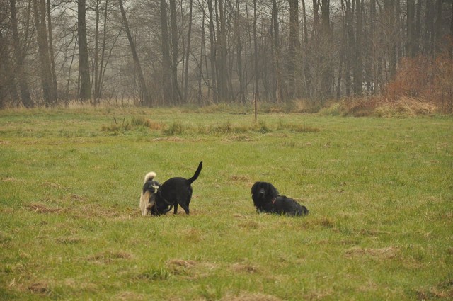 255633438 407546664409871 1575748771902194914 N