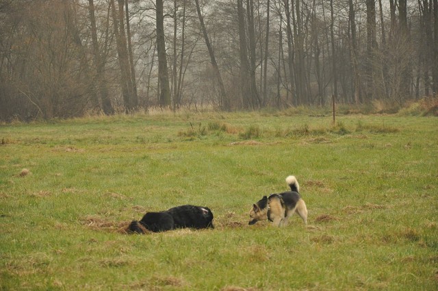 256241689 407546767743194 8096890863487400500 N