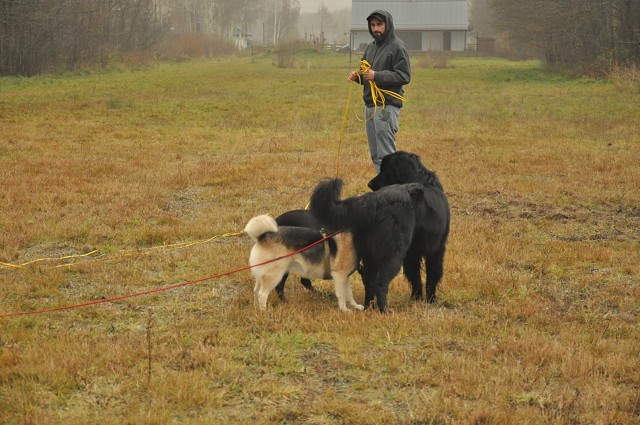 256307088 407545627743308 921254000207389738 N