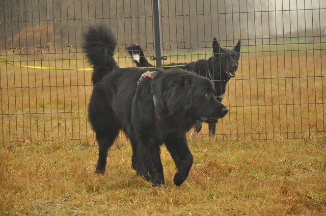 256324191 407543604410177 3083393546566888137 N