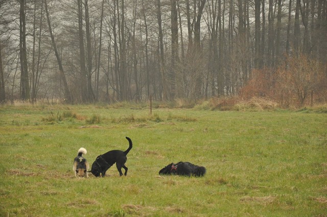 256353652 407546114409926 796105174085563454 N