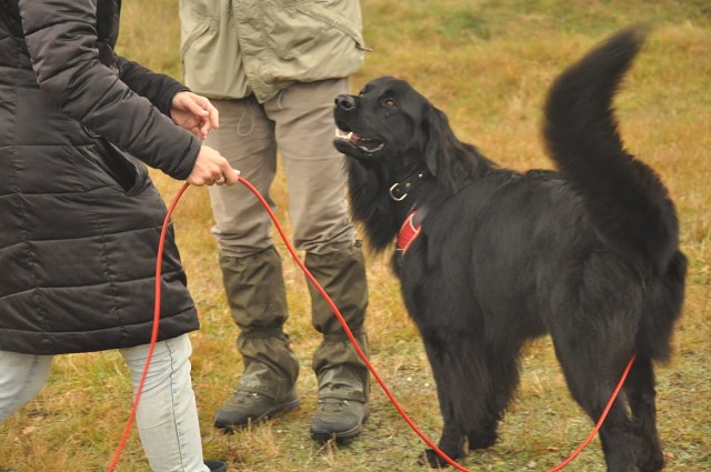 256414932 407542357743635 1688789080802627320 N