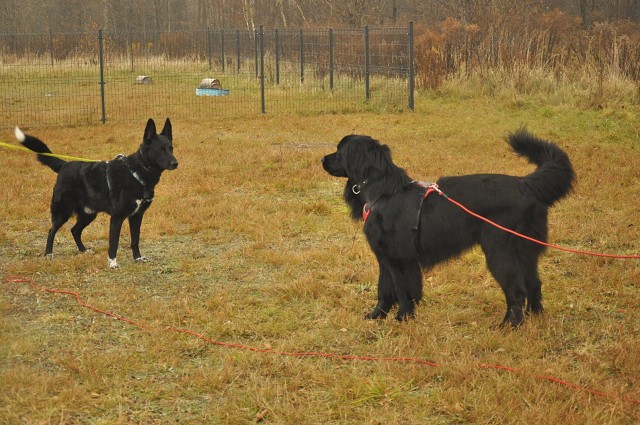 256415332 407544081076796 4556948203490352014 N