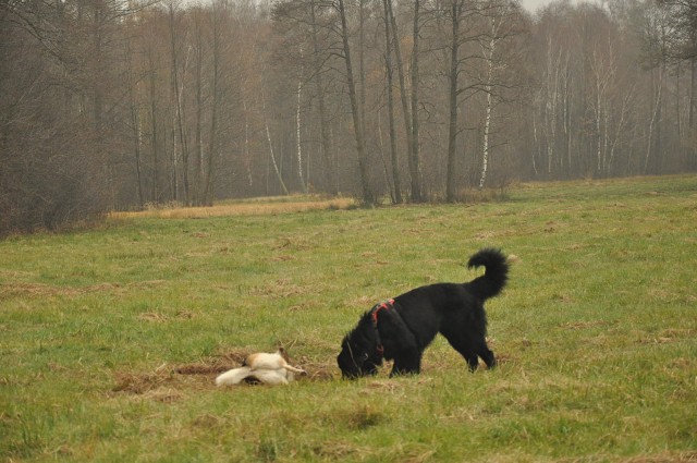 256435428 407546927743178 7429261968838487667 N