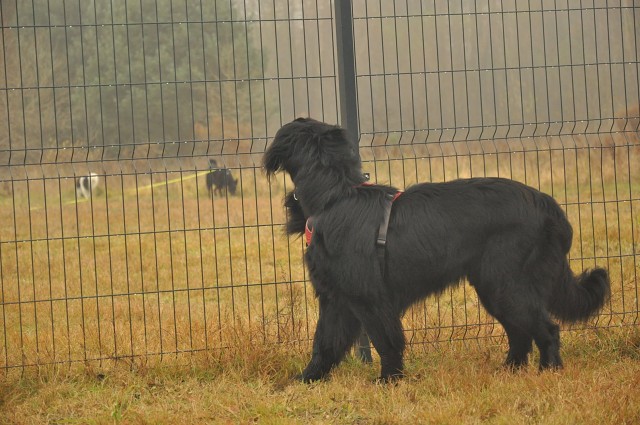 256439831 407543177743553 8610454382814877439 N