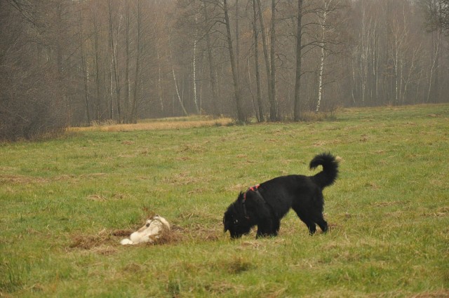 256463066 407546957743175 7288585464191584885 N