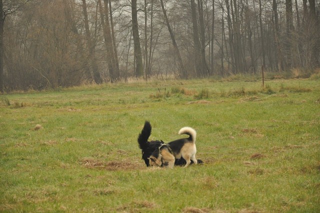 256515229 407546814409856 1405841869530973307 N