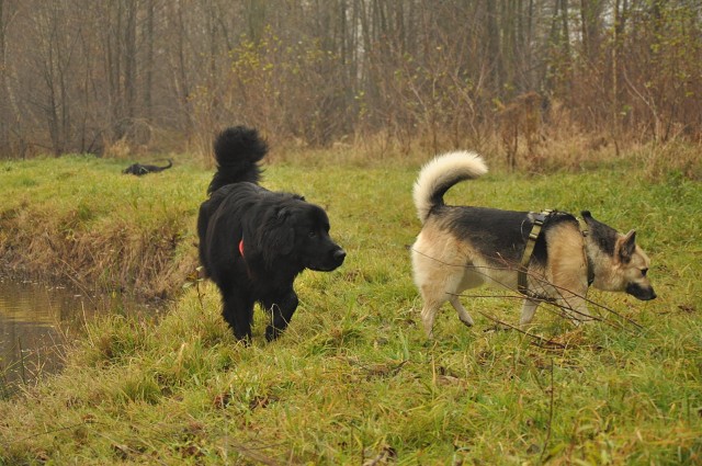 256519216 407546207743250 79230092175305966 N