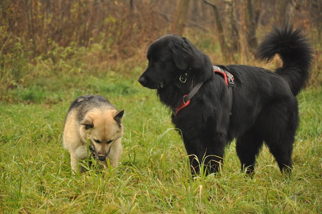 256519223 407544724410065 2299731935318591175 N