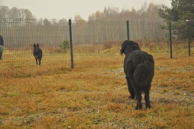 256703163 407543551076849 3946390300046078456 N