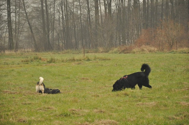 256731540 407546424409895 6702101654343008045 N