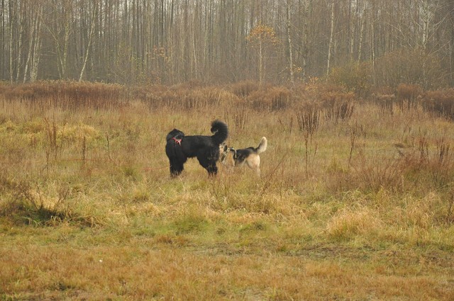 256737294 407543897743481 648321052124863486 N