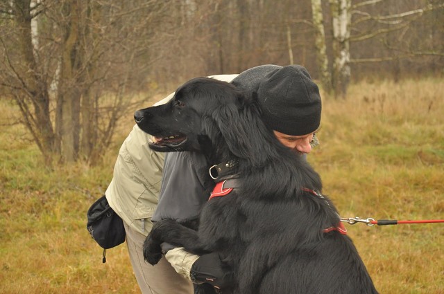 256775231 407542377743633 3831225241907171100 N