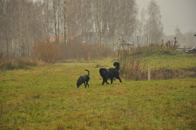 256785653 407546177743253 7214848153069335625 N