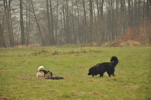 256791571 407546467743224 4799658488336122759 N