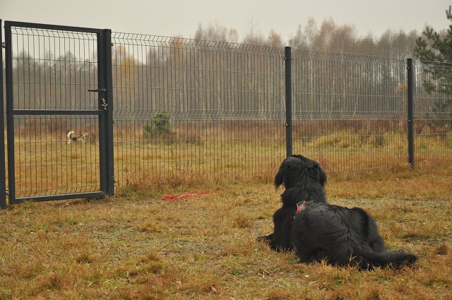 256797863 407545281076676 4059878026198340146 N